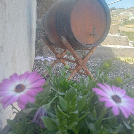 Casita Rural Y Casa Cueva El Perucho Villa Güimar Eksteriør billede